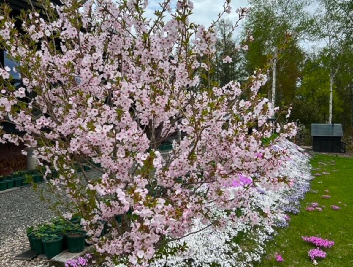 Ritz Garden Niji Guest House Biei Bagian luar foto