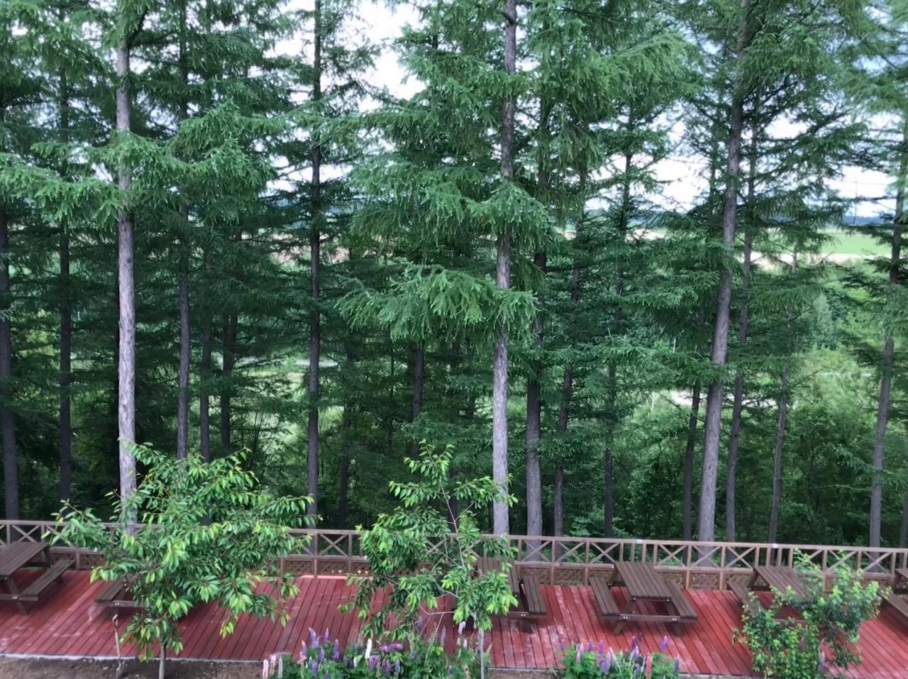 Ritz Garden Niji Guest House Biei Bagian luar foto